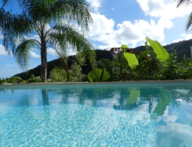 villa-coco-piscine-nature